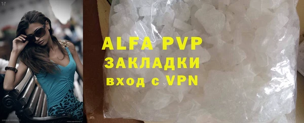 прущие грибы Каменка