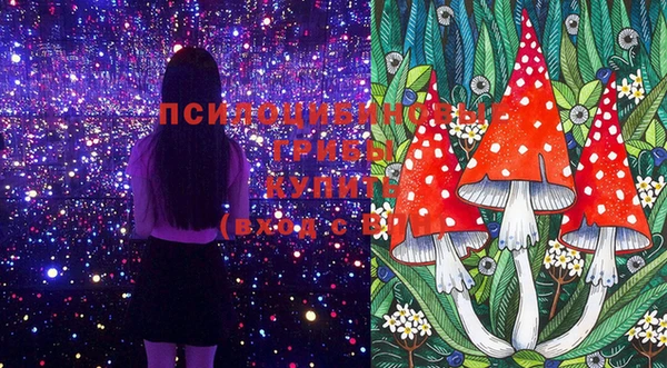 дживик Киренск