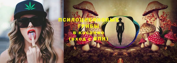 дживик Киренск